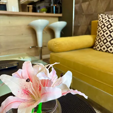 Sea View лазурен бряг شقة *